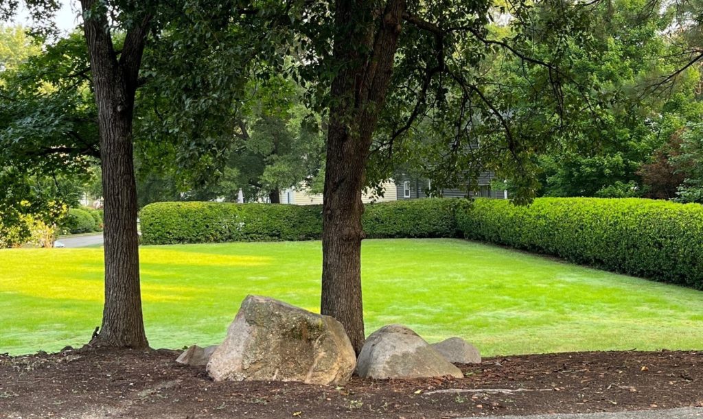 Sussex Square grassy area